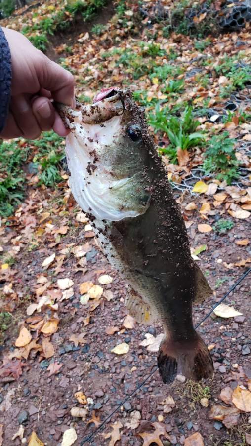 20201026_085931