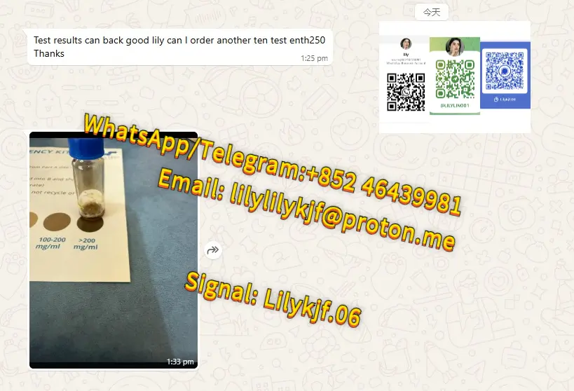 74919442-289a-4fcb-bb43-8f068c1e51c2.webp