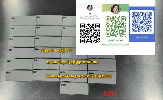包裹4.webp