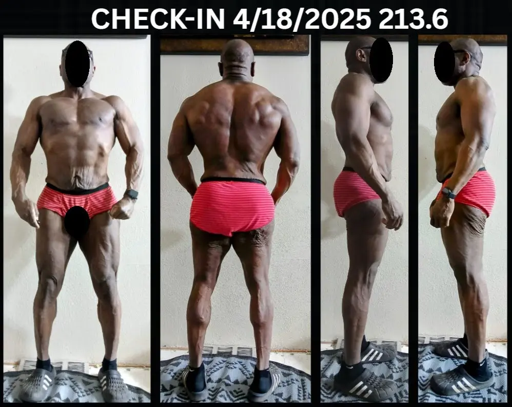 CHECKIN 4-18.webp