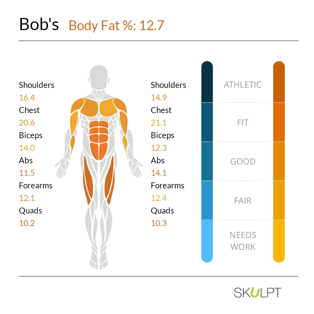 skulpt_muscle_image