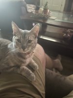 IMG_6265.jpeg