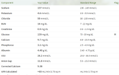 renal.PNG