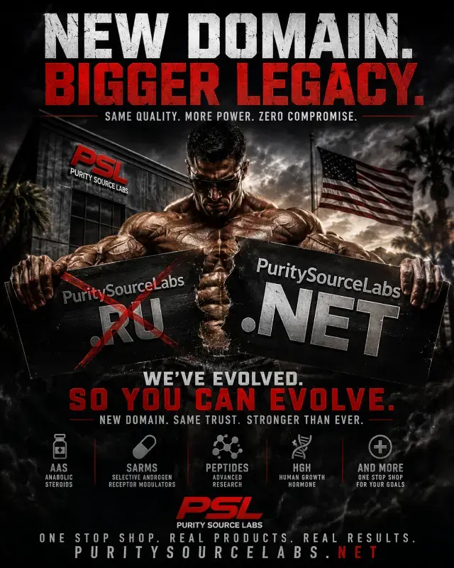 net.webp